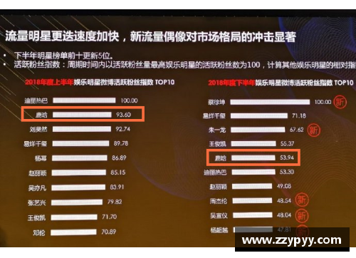 体育明星与娱乐明星的本质区别与多面影响分析